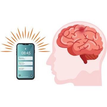 Frontend bild schorn robert elektrosmog