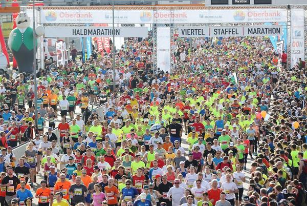 Linz Marathon / Klaus Mitterhauser